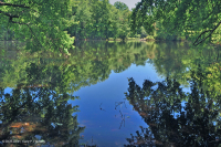 Hồ sụt Shenandoah Valley (Loại điển hình) – CEGL007858 Hồ sụt Shenandoah Valley (Loại điển hình) – CEGL007858