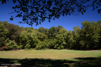 Hồ sụt Shenandoah Valley (Loại điển hình) – CEGL007858 Hồ sụt Shenandoah Valley (Loại điển hình) – CEGL007858