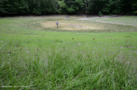 Hồ sụt Shenandoah Valley (Loại điển hình) – CEGL007858 Hồ sụt Shenandoah Valley (Loại điển hình) – CEGL007858