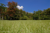 Hồ sụt Shenandoah Valley (Loại điển hình) – CEGL007858 Hồ sụt Shenandoah Valley (Loại điển hình) – CEGL007858