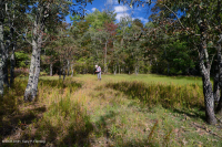 Hồ sụt Shenandoah Valley (Loại điển hình) – CEGL007858 Hồ sụt Shenandoah Valley (Loại điển hình) – CEGL007858