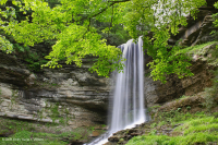 Vách đá phun Appalachian Vách đá phun Appalachian