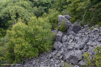 Rừng Boulderfield cao nguyên Trung Appalachian / Rừng cây – CEGL008504 Rừng Boulderfield cao nguyên Trung Appalachian / Rừng cây – CEGL008504