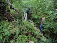 Rừng Boulderfield cao nguyên Trung Appalachian / Rừng cây – CEGL008504 Rừng Boulderfield cao nguyên Trung Appalachian / Rừng cây – CEGL008504