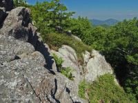 Mỏm đá nhô ra ở độ cao cao cằn cỗi (Loại đá lửa/biến chất Black Chokeberry) – CEGL008508 Mỏm đá nhô ra ở độ cao cao cằn cỗi (Loại đá lửa/biến chất Black Chokeberry) – CEGL008508