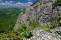 Mỏm đá nhô ra ở độ cao cao cằn cỗi (Loại đá lửa/biến chất Black Chokeberry) – CEGL008508 Mỏm đá nhô ra ở độ cao cao cằn cỗi (Loại đá lửa/biến chất Black Chokeberry) – CEGL008508