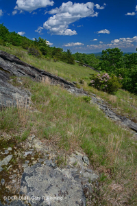 Mafic cằn cỗi ở độ cao phía Nam Blue Ridge - CEGL004283 Mafic cằn cỗi ở độ cao phía Nam Blue Ridge - CEGL004283