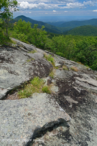 Mỏm đá lộ thiên ở độ cao lớn cằn cỗi (Loại đá lửa/biến chất Greenland Sandwort) - CEGL008509 Mỏm đá lộ thiên ở độ cao lớn cằn cỗi (Loại đá lửa/biến chất Greenland Sandwort) - CEGL008509