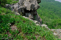 Đất cằn cỗi Greenstone ở độ cao lớn – CEGL008536 Đất cằn cỗi Greenstone ở độ cao lớn – CEGL008536