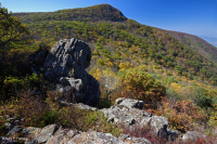 Đất cằn cỗi Greenstone ở độ cao lớn - CEGL008536 Đất cằn cỗi Greenstone ở độ cao lớn - CEGL008536