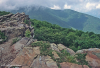 Đất cằn cỗi Greenstone ở độ cao lớn – CEGL008536 Đất cằn cỗi Greenstone ở độ cao lớn – CEGL008536