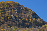 Đất cằn cỗi Greenstone ở độ cao lớn - CEGL008536 Đất cằn cỗi Greenstone ở độ cao lớn - CEGL008536