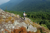 Đất cằn cỗi Greenstone ở độ cao lớn – CEGL008536 Đất cằn cỗi Greenstone ở độ cao lớn – CEGL008536