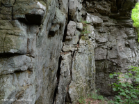 Vách đá sa thạch khô cằn Cumberland Mountains – CEGL004392