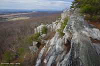 Vách đá axit Appalachian Trung tâm / Piedmont – CEGL004391