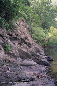 Piedmont / Trung Appalachian Mafic / Vách đá vôi – CEGL006479