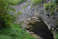 Vách đá vôi khô Appalachian – CEGL004476