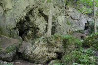 Vách đá vôi khô Appalachian – CEGL004476