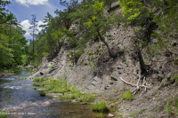 Đá phiến sét Appalachian Trung tâm cằn cỗi (Kiểu phía Nam) – CEGL006562