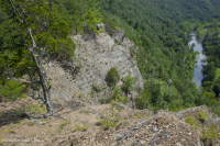 Đá phiến sét Appalachian Trung tâm cằn cỗi (Kiểu phía Nam) – CEGL006562