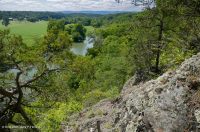 Đá phiến sét Appalachian Trung tâm cằn cỗi (Kiểu phía Bắc) – CEGL006288