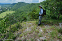 Rừng Dolostone Ridge và Valley – CEGL006030 Rừng Dolostone Ridge và Valley – CEGL006030