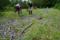 Đá vôi hàng năm Flatrock Barren – CEGL007073 Đá vôi hàng năm Flatrock Barren – CEGL007073