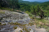 Piedmont Mafic Barren – CEGL006294