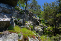 Đất Mafic/Cằn cỗi có đá vôi ở Trung Appalachian (Loại có độ cao thấp) – CEGL006037 (một phần)