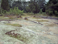 Đá granit Piedmont Flatrock – CEGL003857