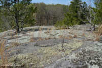 Đá granit Piedmont Flatrock - CEGL003857