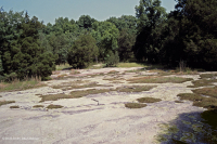 Đá granit Piedmont Flatrock – CEGL003857