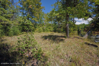 Rừng cây bậc thang đồng bằng ven biển Xeric - CEGL006354 Rừng cây bậc thang đồng bằng ven biển Xeric - CEGL006354