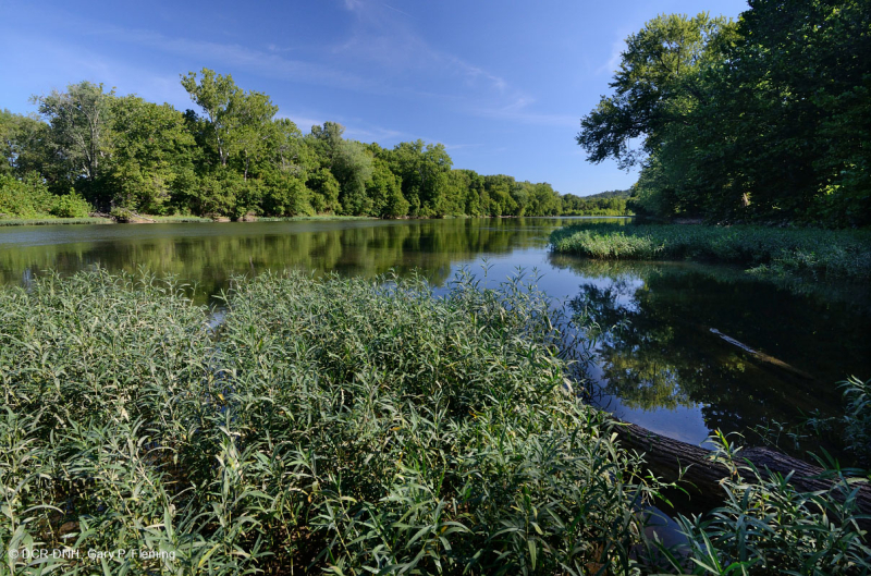 Water-Willow Rocky Bar và Bờ biển – CEGL004286