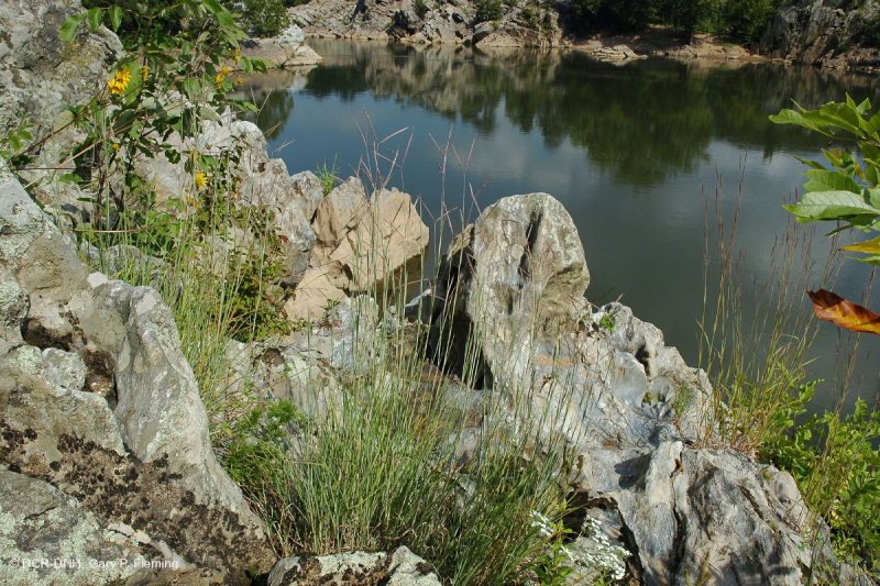 Piedmont / Central Appalachian Riverside Outcrop Prairie – CEGL006478