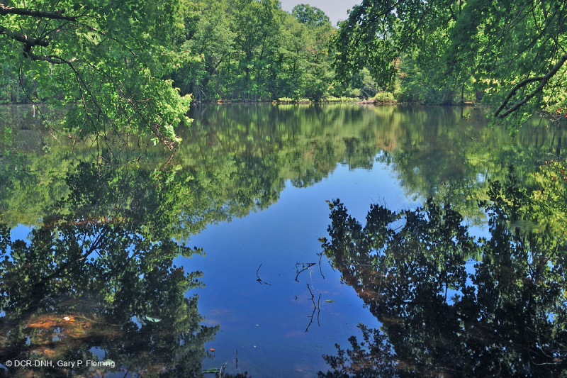 Hồ sụt Shenandoah Valley (Loại điển hình) – CEGL007858