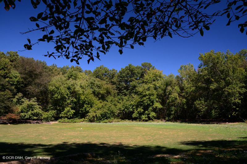 Hồ sụt Shenandoah Valley (Loại điển hình) – CEGL007858