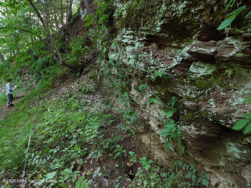 Piedmont / Trung Appalachian Mafic / Vách đá vôi – CEGL006479