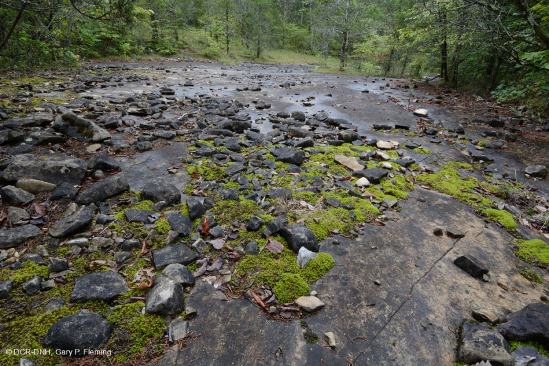 Đá vôi / Dolostone Barren (Loại thung lũng và sườn núi phía Nam) - CEGL005131