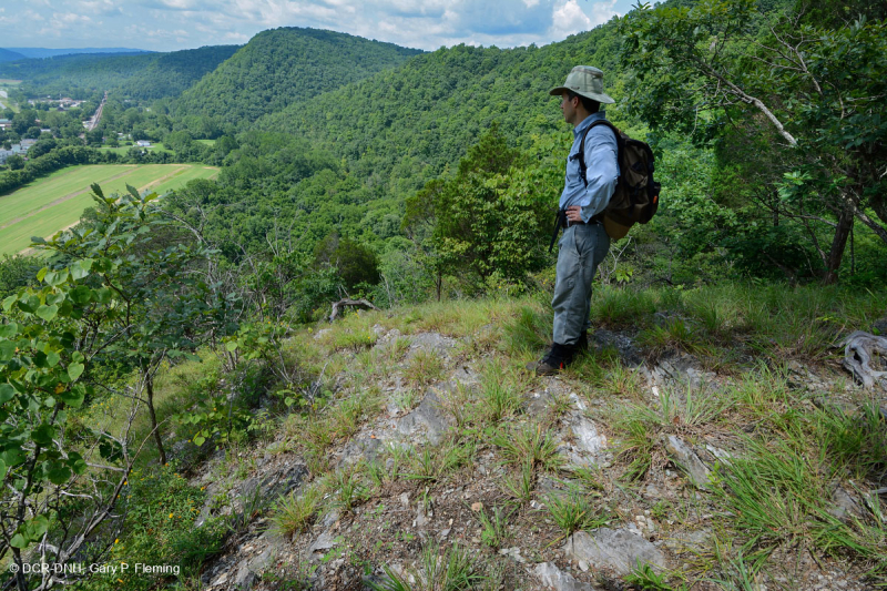 Rừng Dolostone Ridge và Valley – CEGL006030