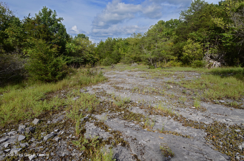 Đá vôi hàng năm Flatrock Barren – CEGL007073