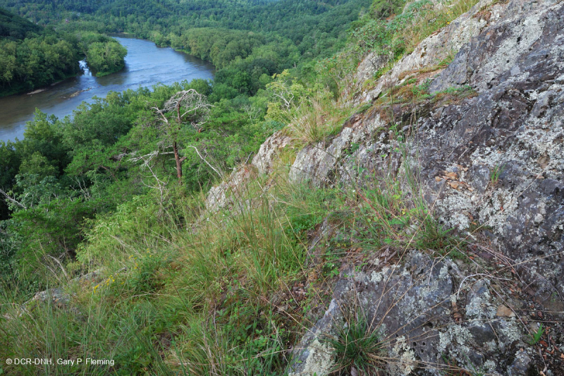 Đất Mafic/Cằn cỗi có đá vôi ở Trung Appalachian (Loại có độ cao thấp) – CEGL006037 (một phần)