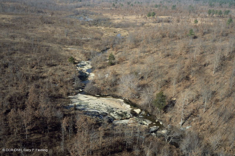 Đá granit Piedmont Flatrock – CEGL003857