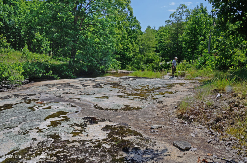 Đá granit Piedmont Flatrock – CEGL003857