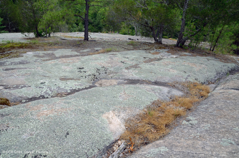 Đá granit Piedmont Flatrock – CEGL003857