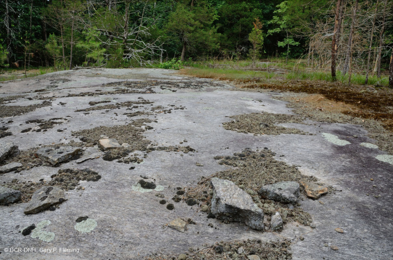 Đá granit Piedmont Flatrock – CEGL003857