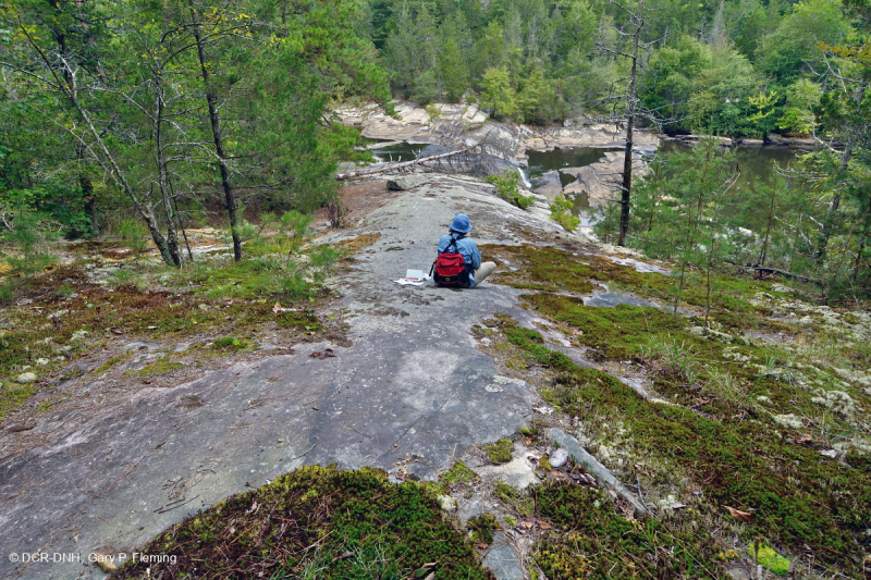 Đá granit Piedmont Flatrock - CEGL003857