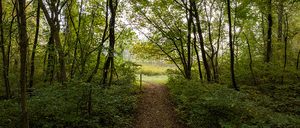 Đường mòn tại Sweet Run