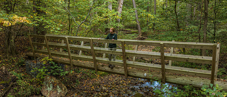 Đường mòn tại Công viên tiểu bang Sweet Run