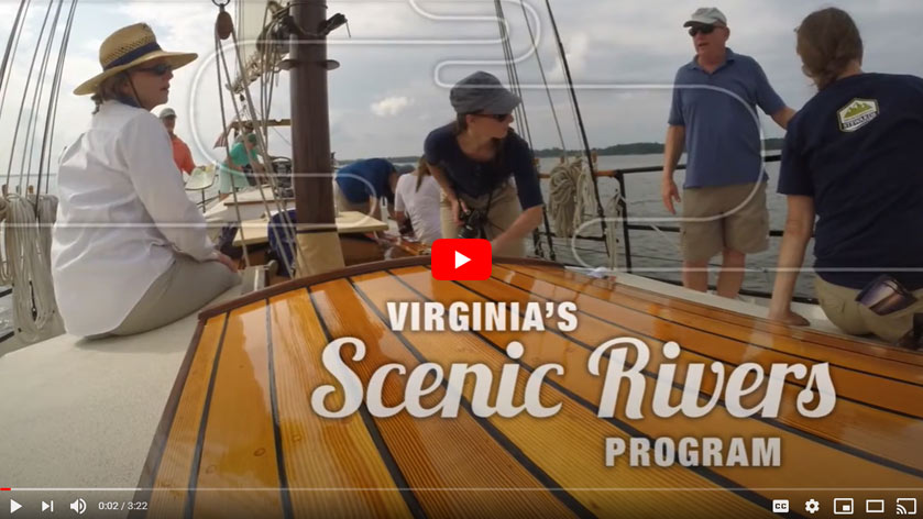 Video Tổng quan về Chương trình YouTube